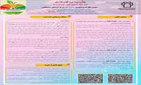 پذیرش طرح فناورانه دانشکده پیراپزشکی در همایش بهره‌وری در نظام سلامت