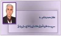 دکترمحمدرضا امیری، مدیر گروه آموزشی کتابداری و اطلاع رسانی پزشکی  شد